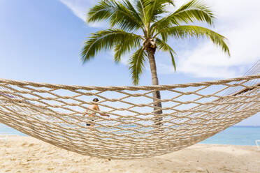 Hammock on a sandy beach, on a tropical island - MINF12782