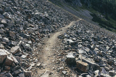 Der Pacific Crest Trail in der Nähe des Hart's Pass in der Pasayten Wilderness, Okanogan-Wenatchee National Forest, etwa 35 Meilen von der kanadischen Grenze in den North Cascades in Washington. - MINF12814