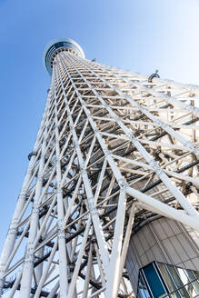 Blick von unten auf das Gerüst des Tokyo Sky Tree, Tokio, Japan. - MINF12860