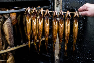 Close up of person removing rod with freshly smoked whole trout from a smoker. - MINF12865