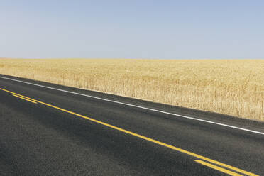 Straße durch Sommerweizenfelder, Whitman County, Palouse, Washington, USA. - MINF12894