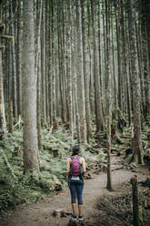 A female hiker with a pack stands on a trail in a dense forest - CAVF68559