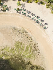 Luftaufnahme von Reihen von Sonnenschirmen und leeren Liegestühlen am Sandstrand im Sommer - KNTF03681