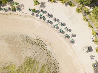 Luftaufnahme von Reihen von Sonnenschirmen und leeren Liegestühlen am Sandstrand im Sommer - KNTF03682