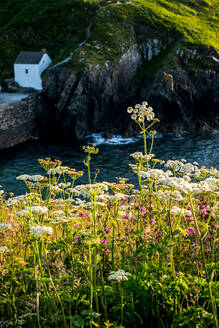 Blick auf den kleinen Hafen von Porthgain an der Küste von Pembrokeshire, Wales, Vereinigtes Königreich. - MINF13042