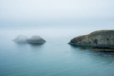 Blick entlang der Küste von Pembrokeshire, Wales, Vereinigtes Königreich, an einem nebligen Tag. - MINF13052