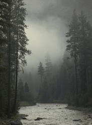 Selway River im Nez Perce National Forest, Idaho - CAVF68628