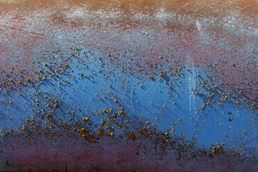 Detail von abblätternder blauer Farbe und Rost - MINF13100