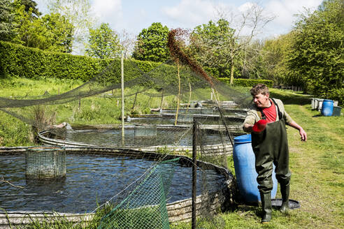 Mann in Wathose steht neben einem Wassertank in einer Fischzuchtanlage, in der Forellen gezüchtet werden, und füttert Fische. - MINF13142