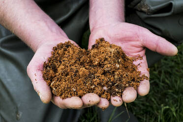 High angle close up of person holding hands full of brown fish meal. - MINF13143