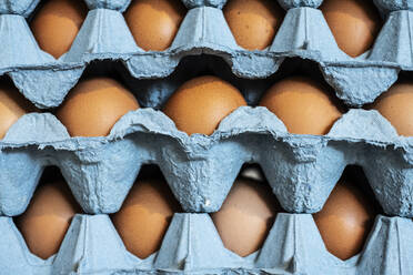 Full frame close up of a stack of blue cartons with brown eggs. - MINF13177