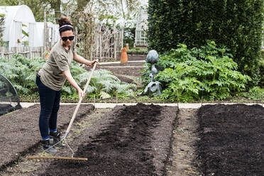 Woman raking freshly laid bed of soil in a vegetable garden. - MINF13277