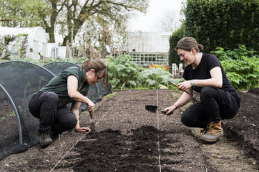 Zwei Frauen arbeiten an einem frisch angelegten Beet in einem Gemüsegarten. - MINF13278