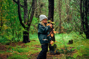 Mädchen in warmer Kleidung erkundet Zweig mit Herbstblättern im Wald - CAVF68825