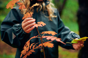 Kind im Regenmantel hält Zweig mit Herbstblättern im Wald - CAVF68828