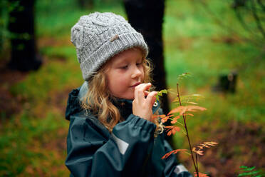 Aktives Kind berührt Blätter auf einem Ast im Wald - CAVF68831