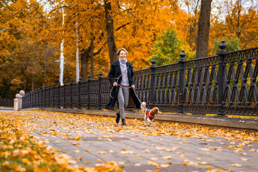 Frau geht im Herbst im Park mit einem Cavalier King Charles Spaniel spazieren - CAVF68915