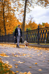 Frau geht im Herbst im Park mit einem Cavalier King Charles Spaniel spazieren - CAVF68916
