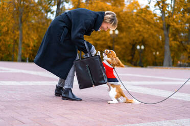 Frau auf einem Spaziergang im Park mit einem Cavalier King Charles Spaniel Hund. - CAVF68919
