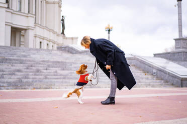 Frau auf dem Spaziergang mit einem Cavalier King Charles Spaniel Hund - CAVF68923