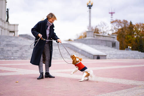 Eine Hündin spielt im Freien mit einem Cavalier King Charles Spaniel. - CAVF68924