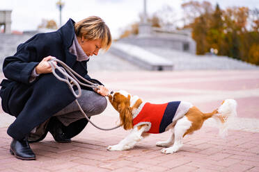 Frau spielt mit einem Cavalier King Charles Spaniel im Freien. - CAVF68926