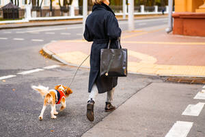 Eine Frau geht mit einem Cavalier King Charles Spaniel in der Stadt spazieren. - CAVF68930