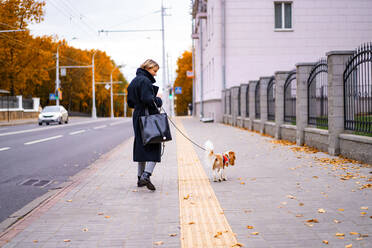 Eine Frau geht mit einem Cavalier King Charles Spaniel in der Stadt spazieren. - CAVF68931