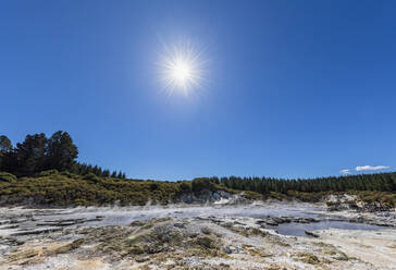 Hell's Gate, Geothermischer Park, Tikitere, Rotorua, Nordinsel, Neuseeland - FOF11012