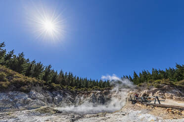 Hell's Gate, Tikitere, Rotorua, Nordinsel, Neuseeland - FOF11016