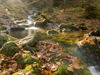 Deutschland, Bayern, Bach im Bayerischen Wald im Herbst - HUSF00109