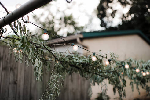 Cafe Lights at Backyard Dinner Party - CAVF69046