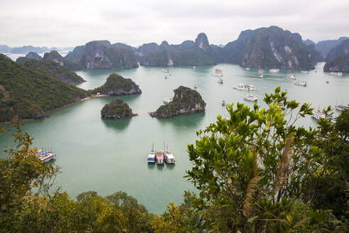 Ein Blick von oben auf die Halong-Bucht, Vietnam, von der Insel Ti Top. - CAVF69101