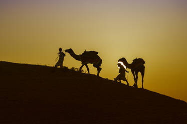 Two Rabari men climbing a dune with their dromedaries at sunset, Great Rann of Kutch Desert, Gujarat, India, Asia - RHPLF12672