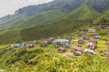 Ein lokales Dorf inmitten von Teeplantagen in den Cameron Highlands, Pahang, Malaysia, Südostasien, Asien - RHPLF12713