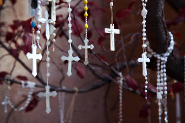 Von Gläubigen zurückgelassene Rosenkränze, die an einem Baum vor einer Kirche in Santa Fe, New Mexico, Vereinigte Staaten von Amerika, Nordamerika, hängen - RHPLF12721