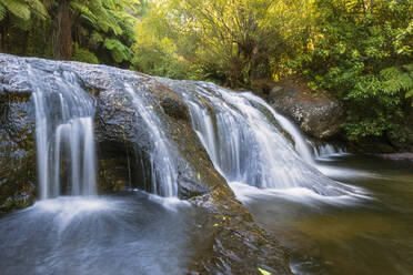 Kaiate Falls, Bay of Plenty, Nordinsel, Neuseeland - FOF11024