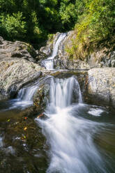 Upper Falls, Kaiate Falls, Bay of Plenty, Nordinsel, Neuseeland - FOF11026