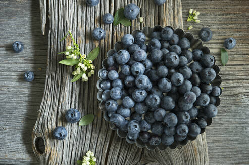 Backform mit einem Haufen frischer Blaubeeren - ASF06524