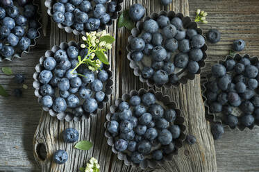 Backförmchen mit einem Haufen frischer Blaubeeren - ASF06525