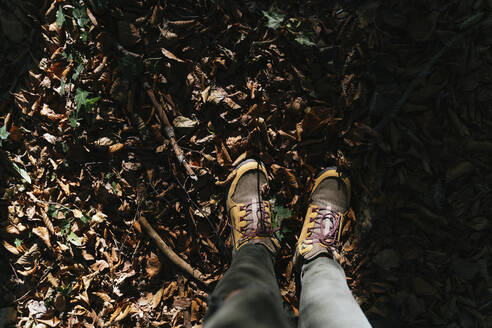 Hiking boots in autumn on a path with leaves - GEMF03297