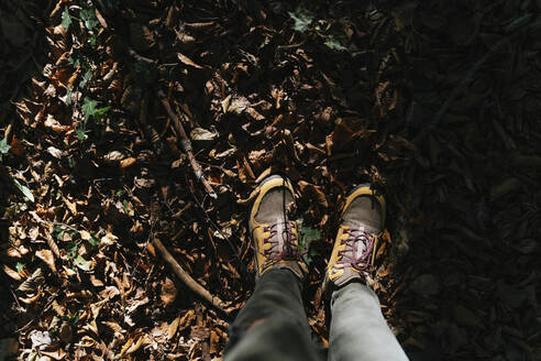 Wanderschuhe im Herbst auf einem Weg mit Blättern - GEMF03297