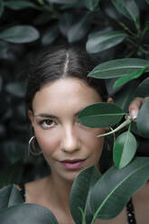 Portrait of young woman hiding behind green leaves - AFVF04211