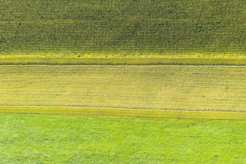 Germany, Bavaria, Upper Bavaria, Aerial view of green fields - SIEF09310