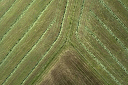 Germany, Bavaria, Aerial view of freshly mowed field - RUEF02357