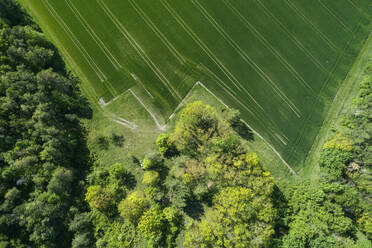 Germany, Bavaria, Aerial view of edge of countryside field surrounded by green forest - RUEF02358