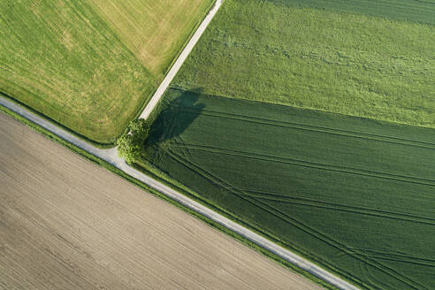 Deutschland, Bayern, Luftaufnahme von Landstraßen, die durch grüne Felder im Frühling führen - RUEF02359