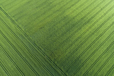 Germany, Bavaria, Aerial view of green countryside field covered in pattern of tire tracks - RUEF02360