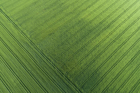 Deutschland, Bayern, Luftaufnahme eines grünen Feldes mit Reifenspuren - RUEF02360