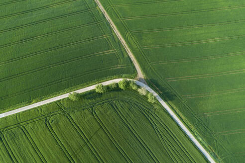 Deutschland, Bayern, Luftaufnahme von Landstraßen, die durch grüne Felder im Frühling führen - RUEF02361